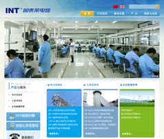 南京網站建設與網絡技術咨詢服務 智拓網絡公司的專業之道